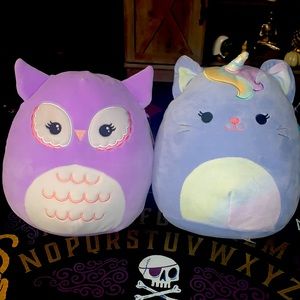 Two medium sized squishmallows!